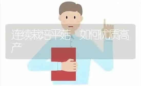 连续栽培平菇 如何优质高产 | 食用菌种植