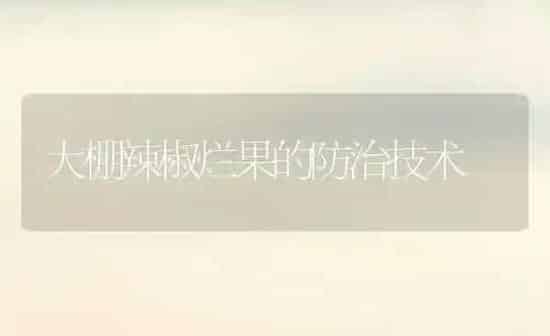 大棚辣椒烂果的防治技术 | 瓜果种植