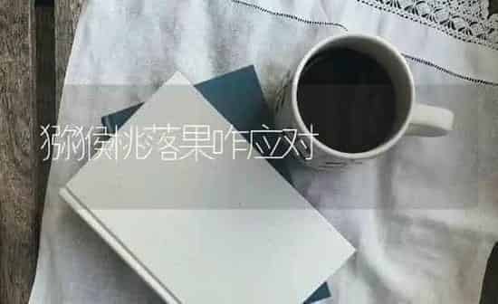 猕猴桃落果咋应对 | 瓜果种植