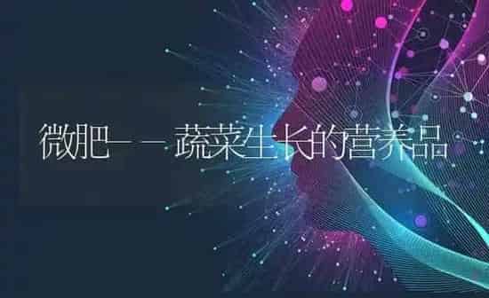 微肥--蔬菜生长的营养品 | 蔬菜种植