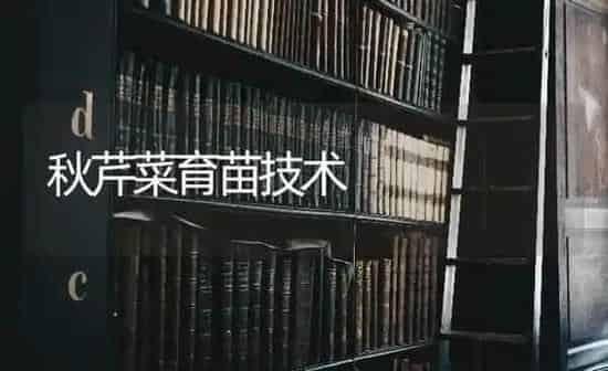 秋芹菜育苗技术 | 蔬菜种植