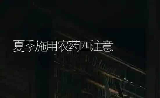 夏季施用农药四注意 | 种植病虫害防治