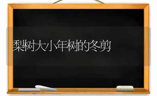 梨树大小年树的冬剪 | 瓜果种植
