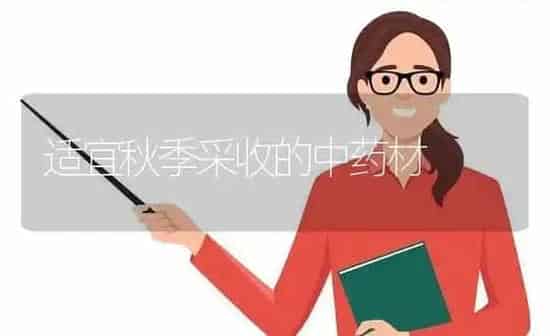 适宜秋季采收的中药材 | 药材种植