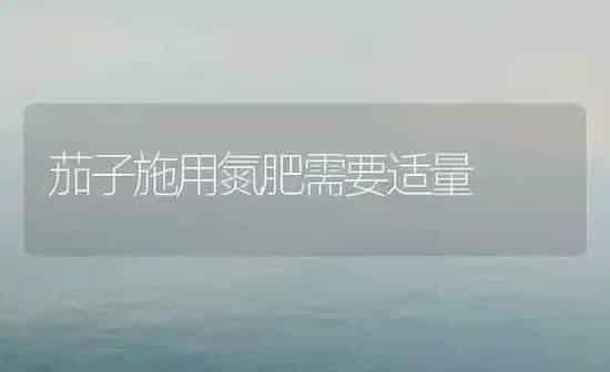 茄子施用氮肥需要适量 | 蔬菜种植