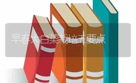 早春大白菜栽培五要点 | 蔬菜种植