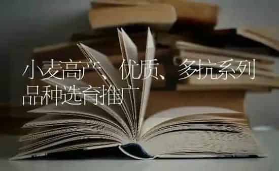 小麦高产、优质、多抗系列品种选育推广 | 粮油作物种植