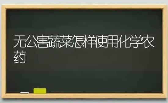 无公害蔬菜怎样使用化学农药 | 蔬菜种植