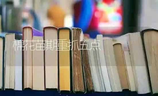 棉花苗期重抓五点 | 粮油作物种植