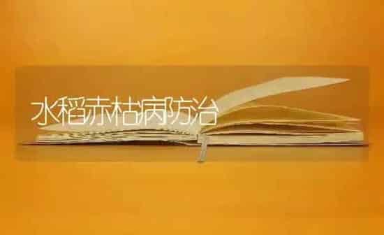 水稻赤枯病防治 | 粮油作物种植