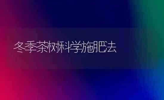 冬季茶树科学施肥法 | 种植肥料施肥