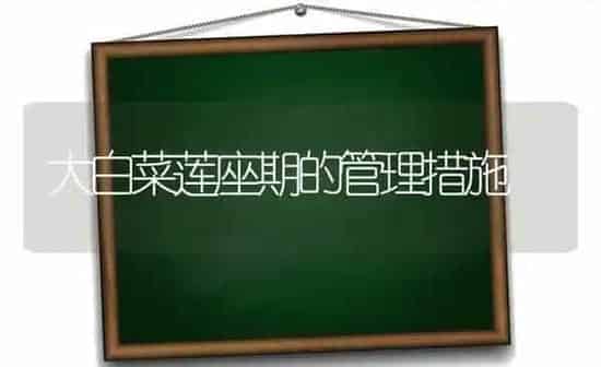 大白菜莲座期的管理措施 | 蔬菜种植