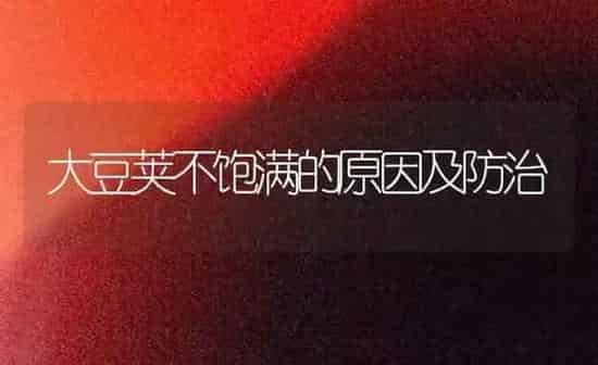 大豆荚不饱满的原因及防治 | 粮油作物种植