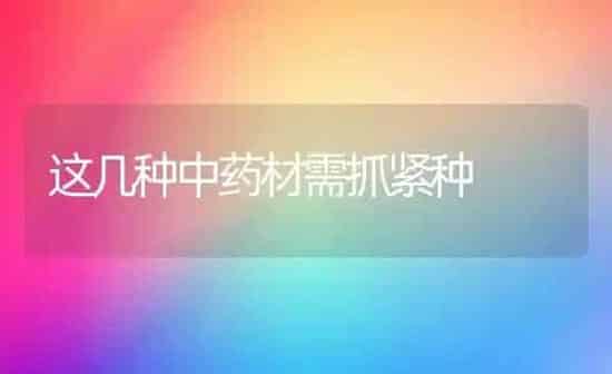 这几种中药材需抓紧种 | 药材种植