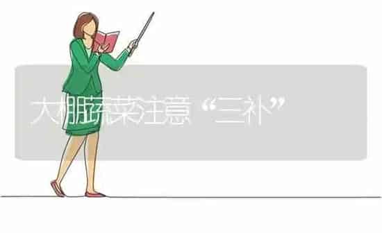 大棚蔬菜注意“三补” | 蔬菜种植