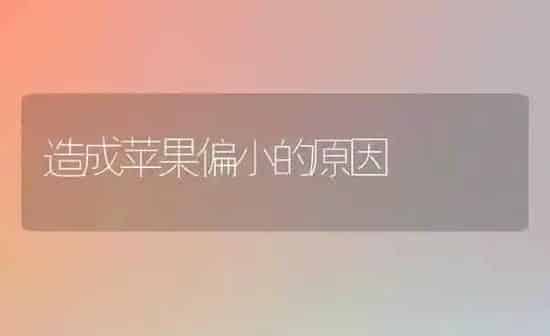 造成苹果偏小的原因 | 瓜果种植