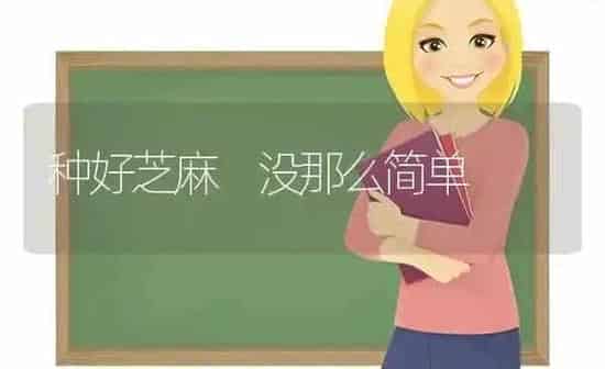 种好芝麻 没那么简单 | 粮油作物种植