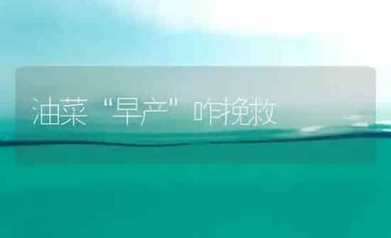 冬季设施草莓科学施肥技术意见 | 种植肥料施肥