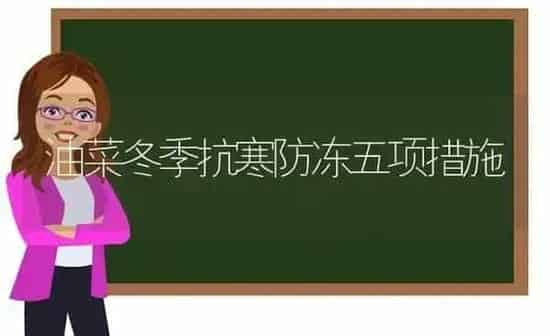 油菜冬季抗寒防冻五项措施 | 粮油作物种植