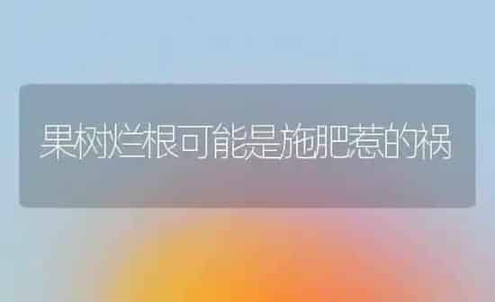 果树烂根可能是施肥惹的祸 | 瓜果种植