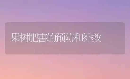 果树肥害的预防和补救 | 瓜果种植