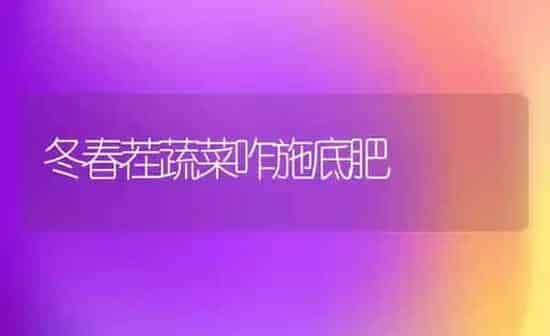 冬春茬蔬菜咋施底肥 | 蔬菜种植