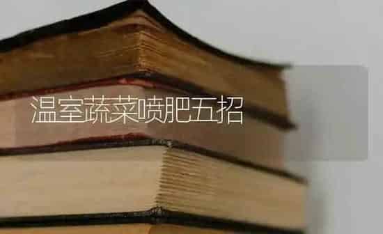 温室蔬菜喷肥五招 | 蔬菜种植