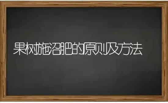 果树施沼肥的原则及方法 | 瓜果种植
