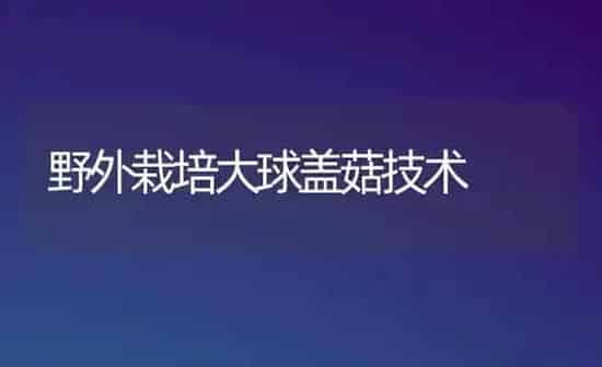 野外栽培大球盖菇技术 | 食用菌种植