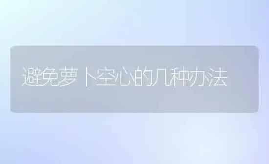 避免萝卜空心的几种办法 | 蔬菜种植
