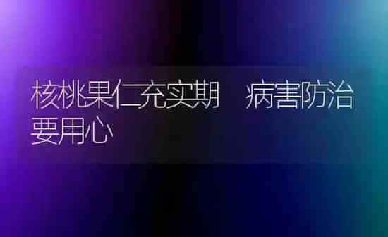核桃果仁充实期 病害防治要用心 | 瓜果种植