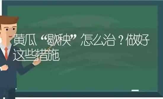 黄瓜“歇秧”怎么治？做好这些措施 | 蔬菜种植