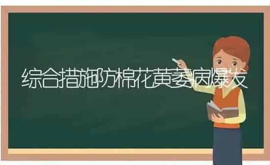 综合措施防棉花黄萎病爆发 | 粮油作物种植