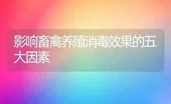 影响畜禽养殖消毒效果的五大因素 | 瓜果种植