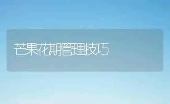 芒果花期管理技巧 | 瓜果种植