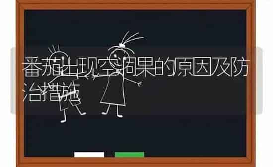 番茄出现空洞果的原因及防治措施 | 瓜果种植