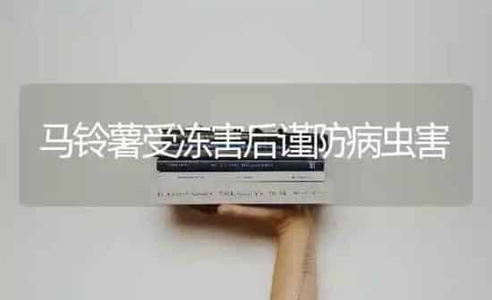 马铃薯受冻害后谨防病虫害 | 种植病虫害防治