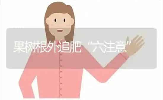 果树根外追肥“六注意” | 瓜果种植