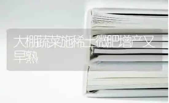大棚蔬菜施稀土微肥增产又早熟 | 蔬菜种植