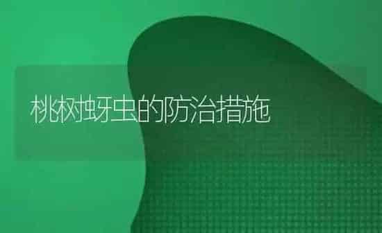 桃树蚜虫的防治措施 | 瓜果种植