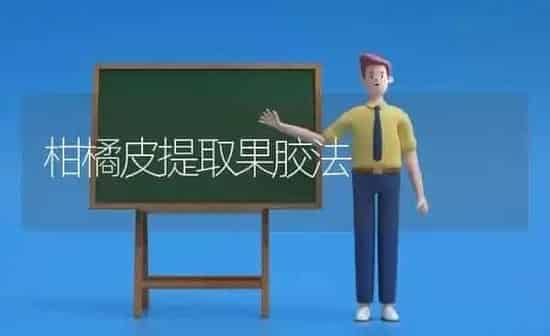 柑橘皮提取果胶法 | 瓜果种植