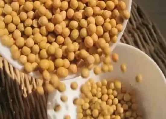 植物施肥|炒熟的黄豆可以做肥料吗 具体怎么操作能做肥料
