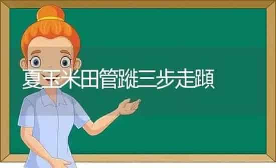 夏玉米田管蹝三步走蹞 | 粮油作物种植