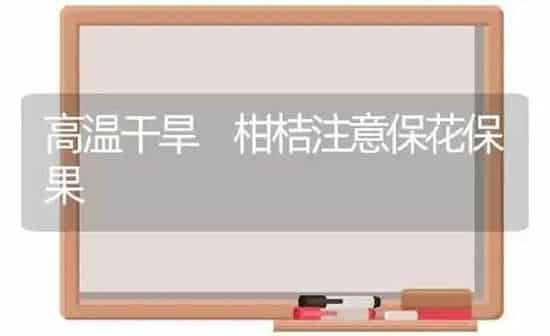 高温干旱 柑桔注意保花保果 | 瓜果种植