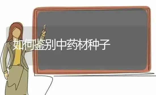 如何鉴别中药材种子 | 药材种植