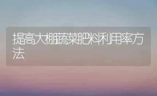 提高大棚蔬菜肥料利用率方法 | 蔬菜种植