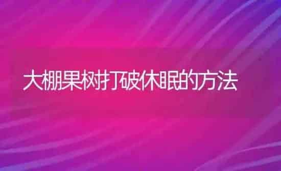 大棚果树打破休眠的方法 | 瓜果种植