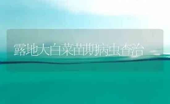 露地大白菜苗期病虫查治 | 蔬菜种植