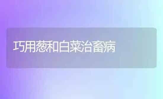 巧用葱和白菜治畜病 | 蔬菜种植