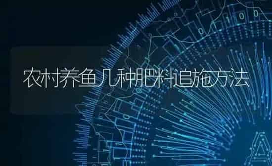 农村养鱼几种肥料追施方法 | 种植肥料施肥